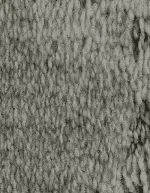 Carpet Mohawk Elaborate Appeal 3c82 - Image 3