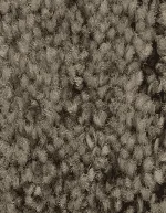 Carpet Mohawk Elaborate Appeal 3c82 - Image 5