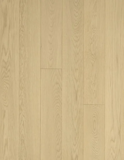 American Oak 6 Collection-Moon Light