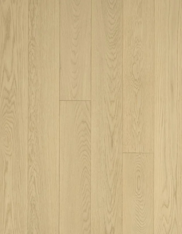 American Oak 6 Collection-Moon Light