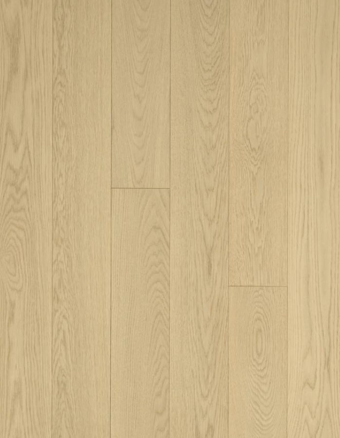 American Oak 6 Collection-Moon Light