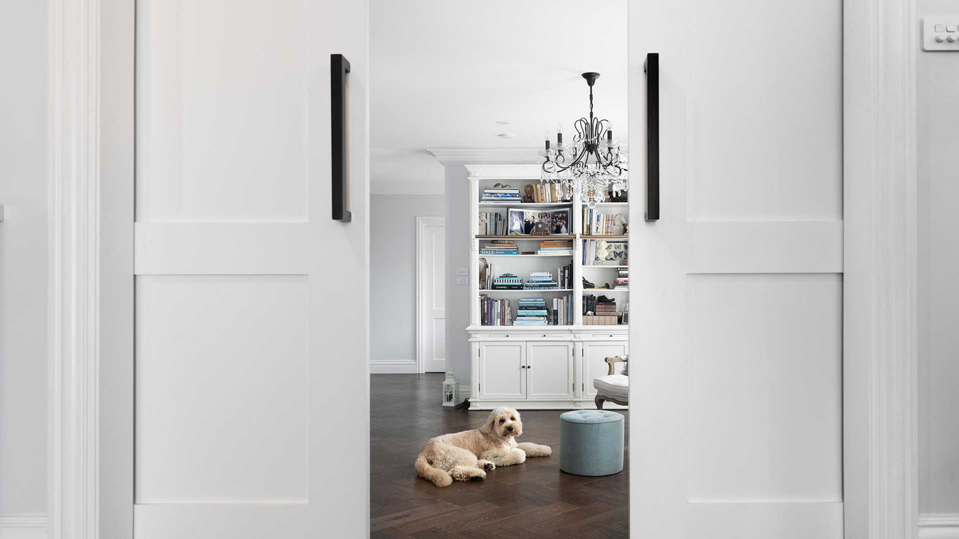 How to Maintain and Care for Single Shaker Doors in 2024